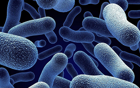 Как защититься от бактерий? Узнайте больше о чистоте рук