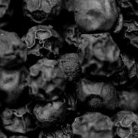 blackpepper_texture