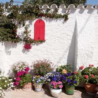 sadysredizemnomorya1