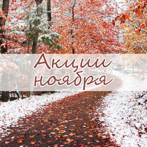 Акции Ноябрь!