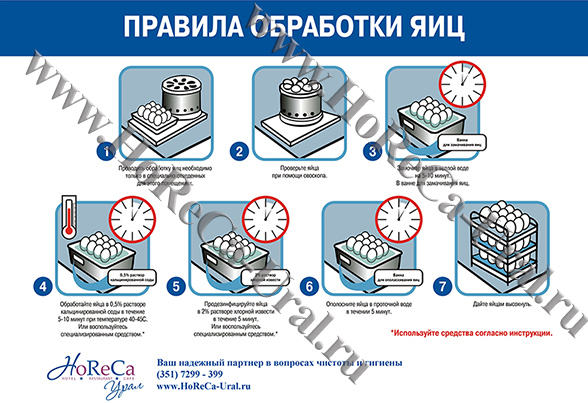 Правила обработки яиц_web.jpg Правила обработки яиц_web.jpg